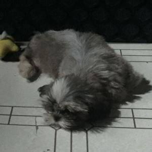 Meet your Posher, Mick